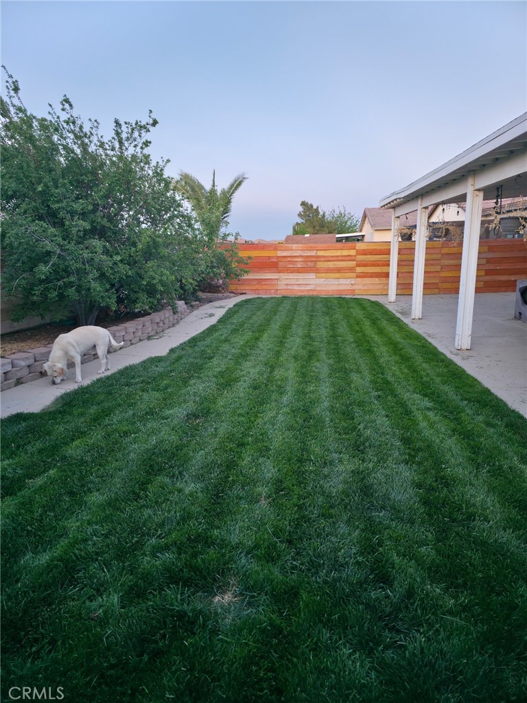 12324 Firefly Property Photo 5