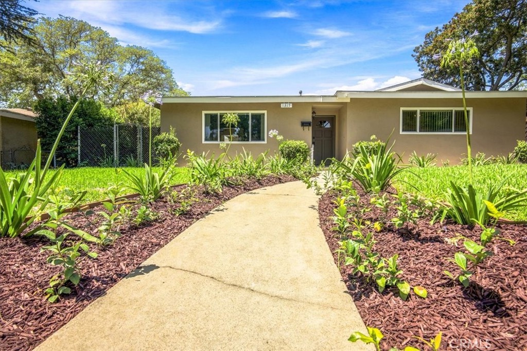1317 5th Property Photo 5