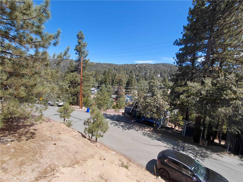 32987 Arrowbear Property Photo 7