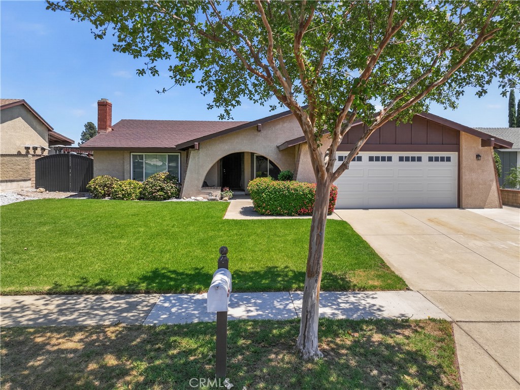 6871 Cartilla Property Photo 36