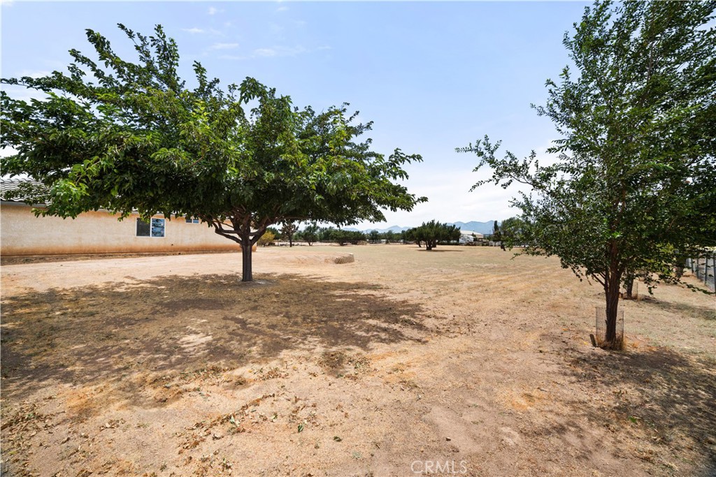 7682 Coleridge Rd Property Photo 47