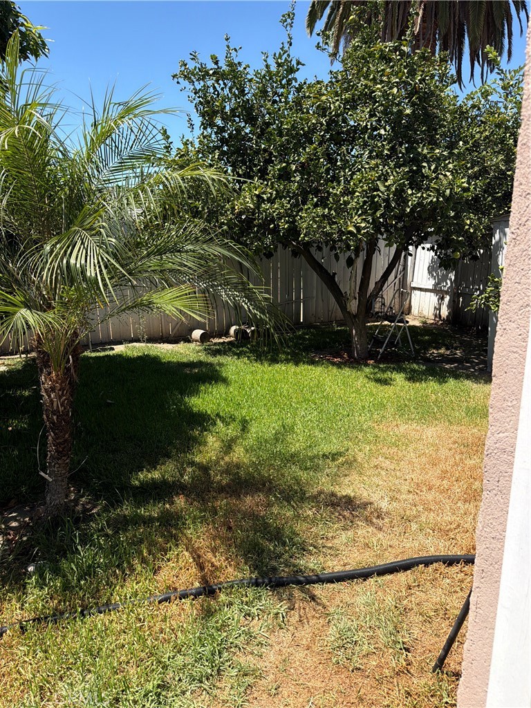 3329 Big Dalton Property Photo 55