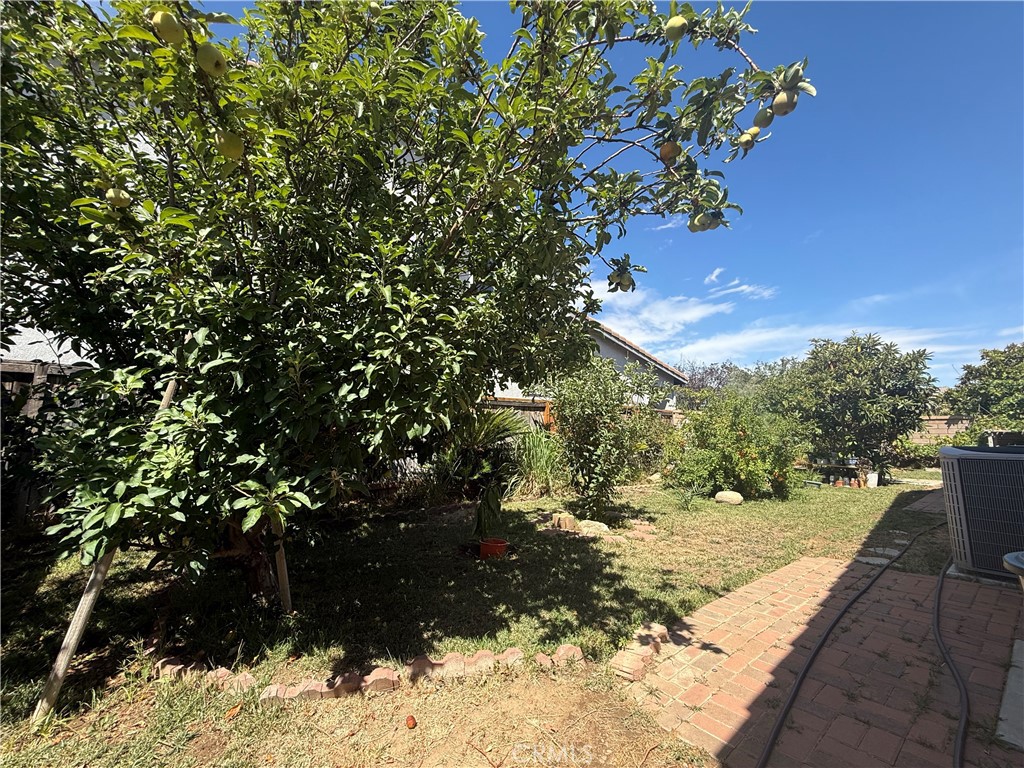 1592 Flora Property Photo 28