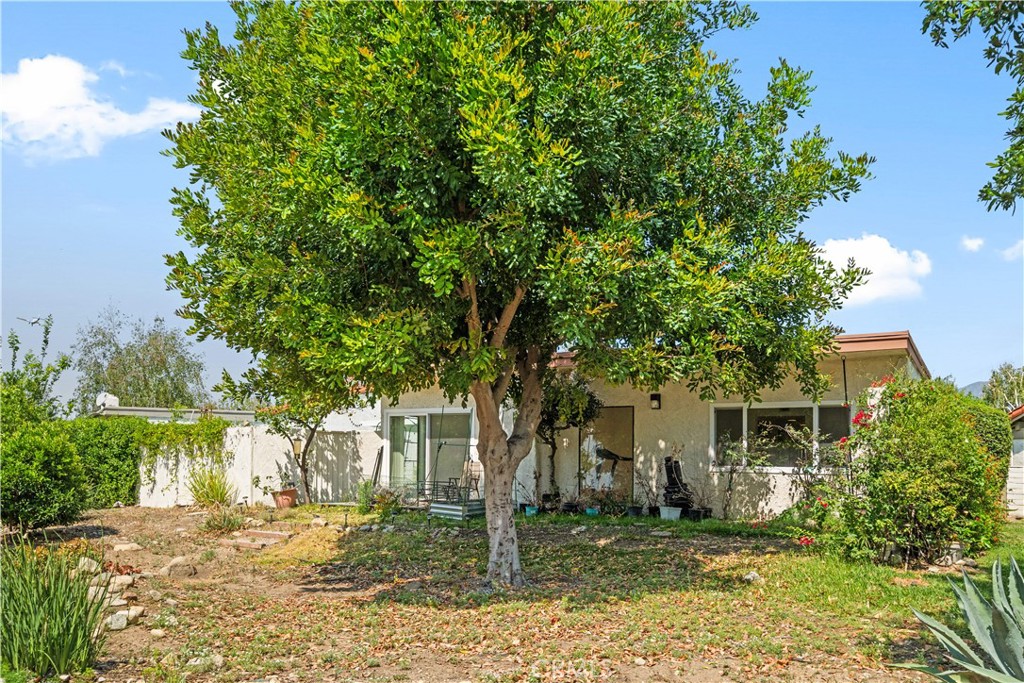 1400 Blossom Property Photo 38