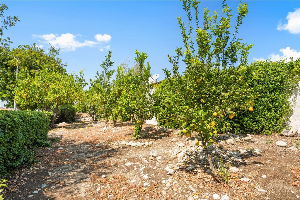 1400 Blossom Property Photo 39