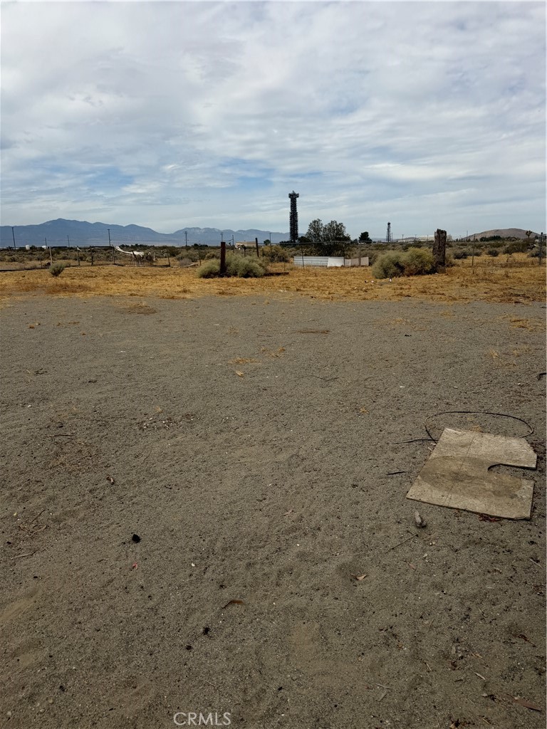 4638 Homer Property Photo 3