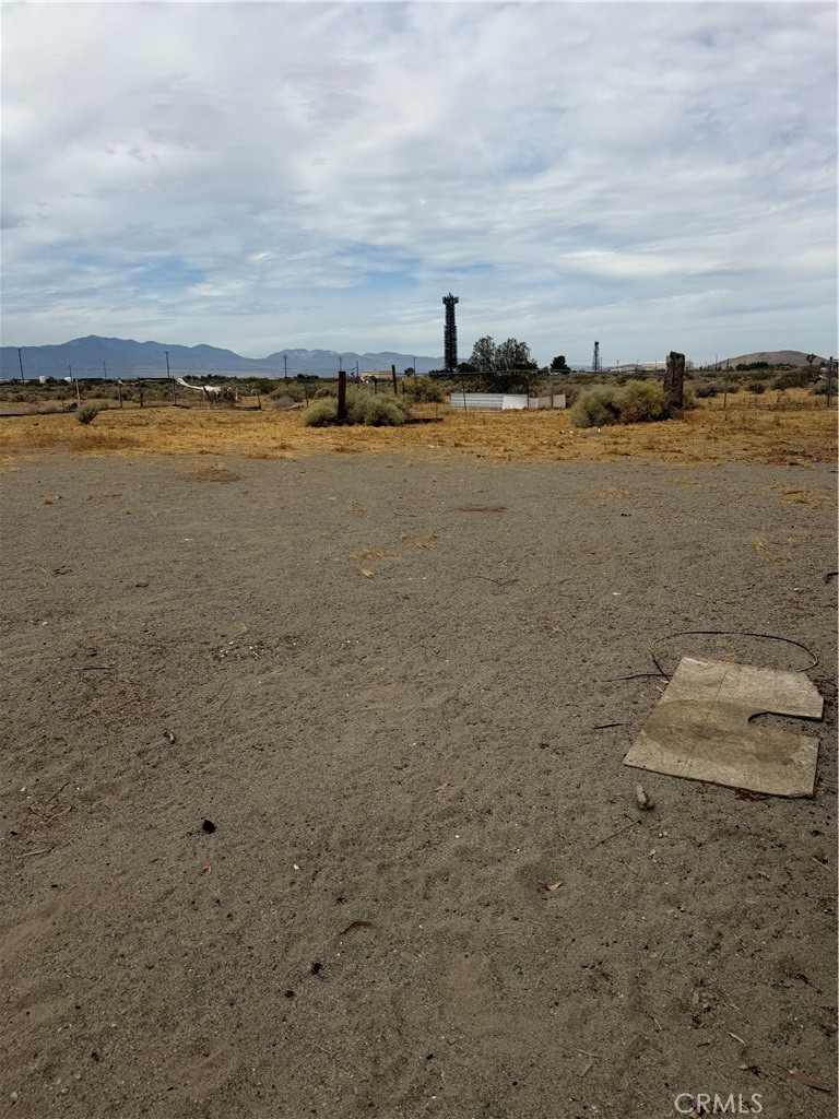 4638 Homer Property Photo 4