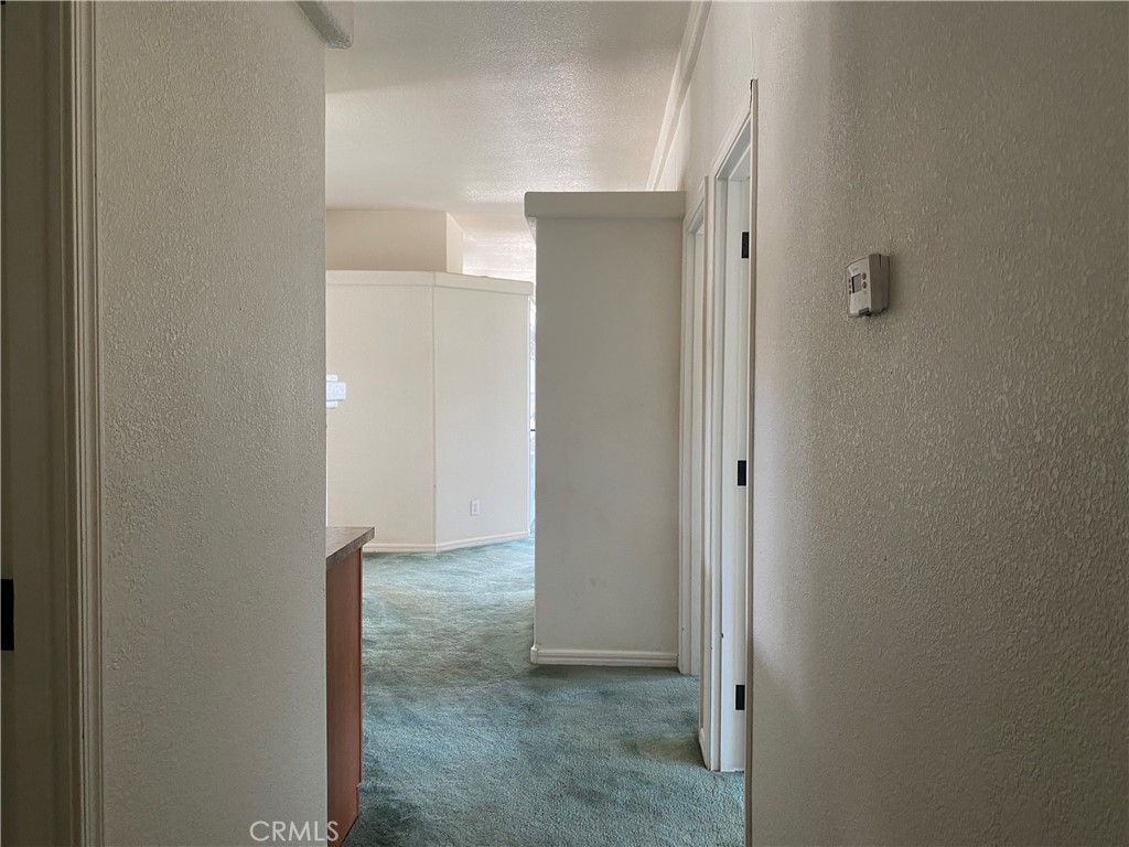 9895 Mias Canyon Property Photo 35