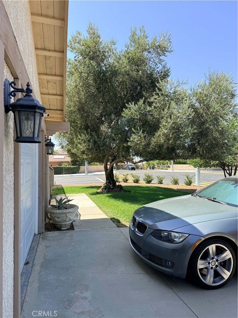11990 Lasselle Property Photo 40