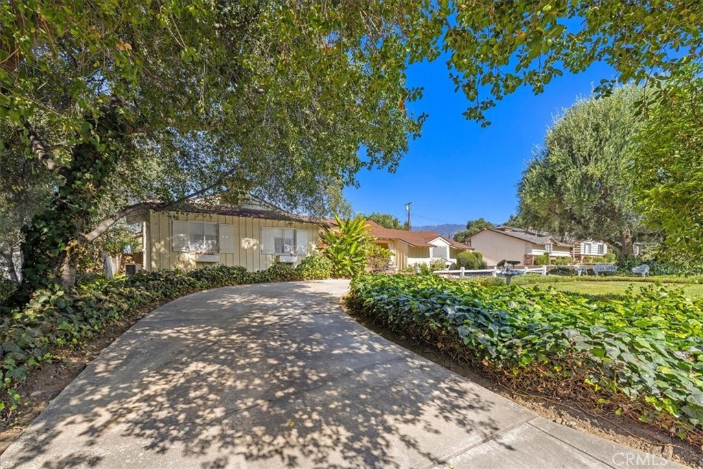 321 Catherine Park Property Photo 4