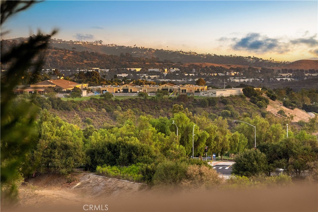 32 Corte El Brazo Property Photo 59