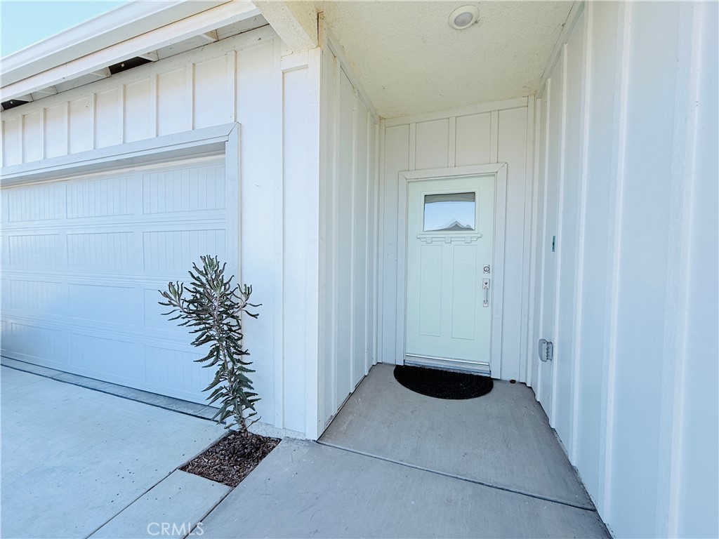 9705 Cotton Creek Property Photo 3