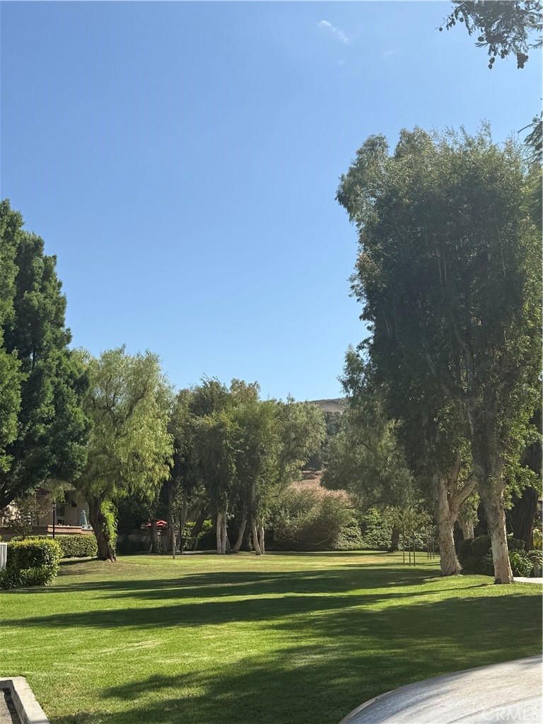 6 Saddlewood Property Photo 4