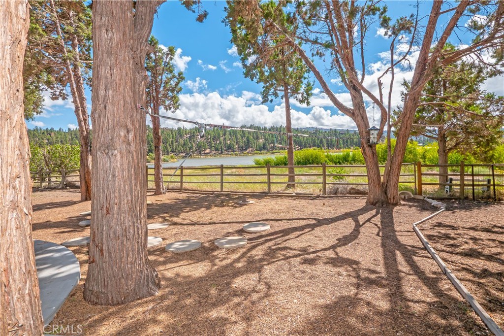42419 Bear Property Photo 68