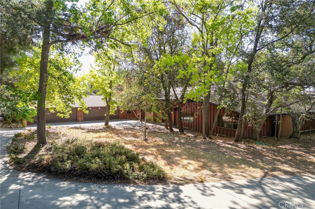677 N Deodar Property Photo 1
