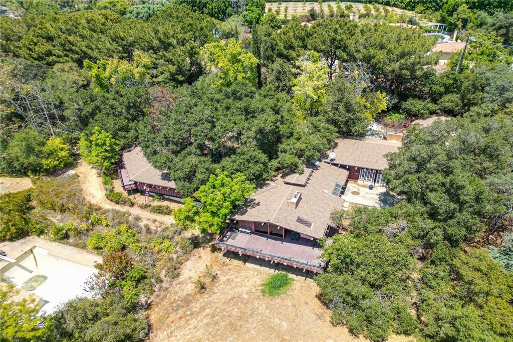 677 N Deodar Property Photo 3
