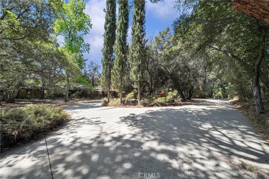 677 N Deodar Property Photo 66