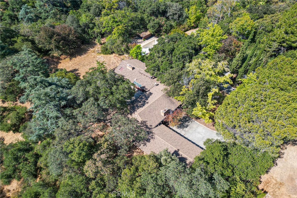 677 N Deodar Property Photo 68