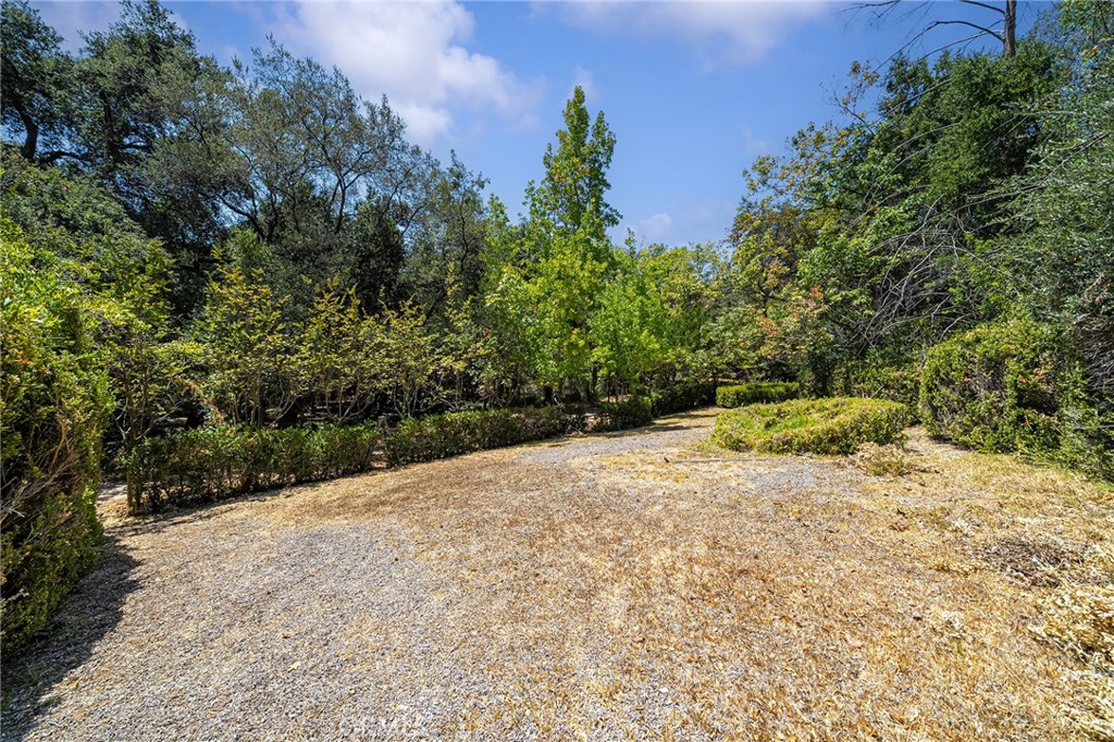 677 N Deodar Property Photo 69