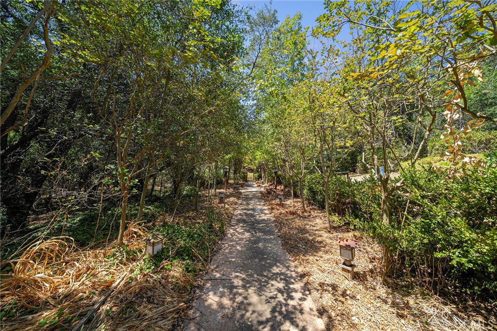 677 N Deodar Property Photo 70