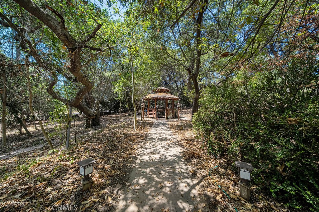 677 N Deodar Property Photo 71
