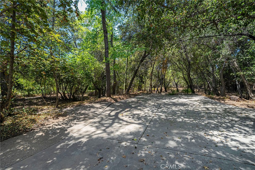 677 N Deodar Property Photo 72