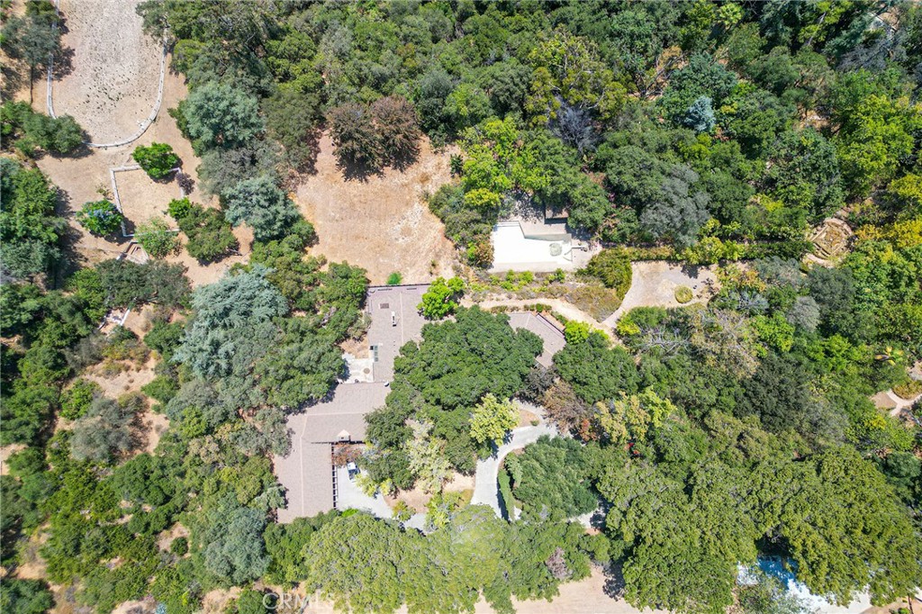 677 N Deodar Property Photo 74