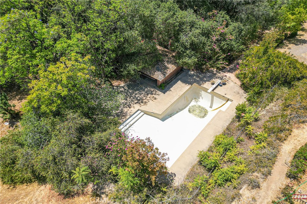 677 N Deodar Property Photo 75