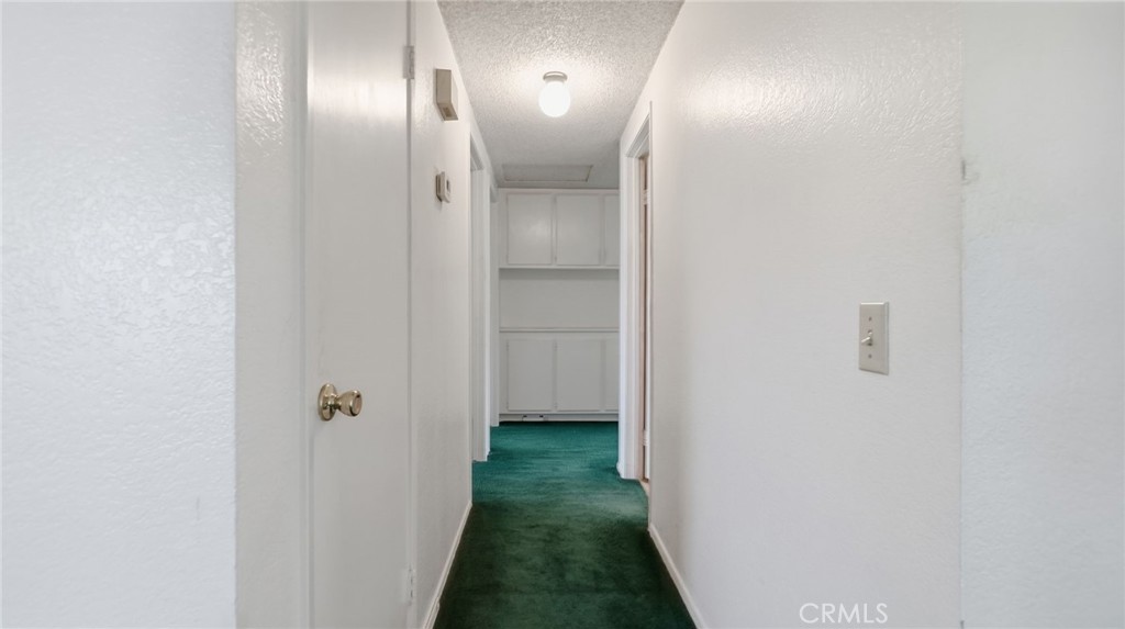1181 Camphor Property Photo 20