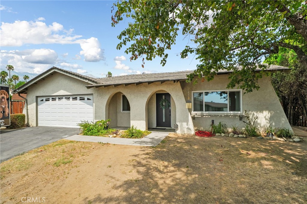 9954 Albany Property Photo 1