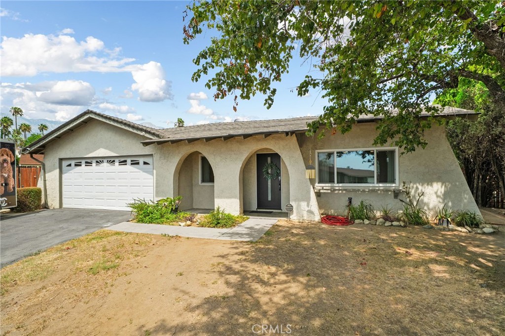 9954 Albany Property Photo 1
