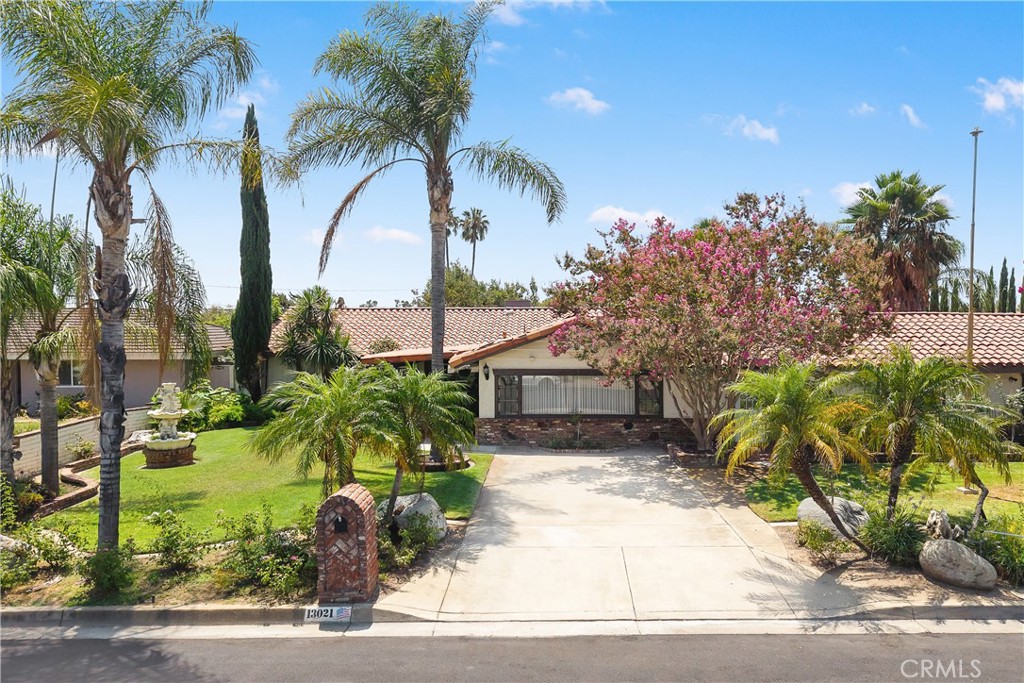 13021 Vista Property Photo 3
