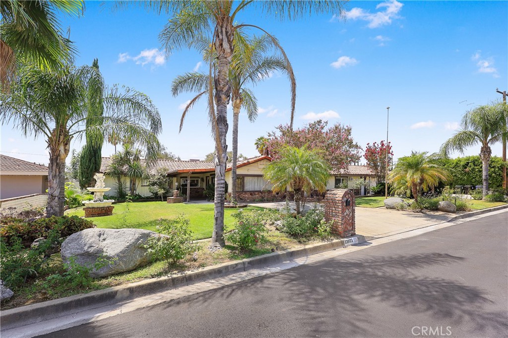 13021 Vista Property Photo 4