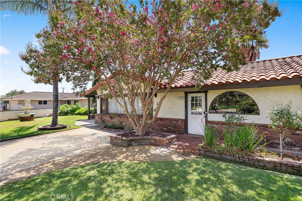 13021 Vista Property Photo 7