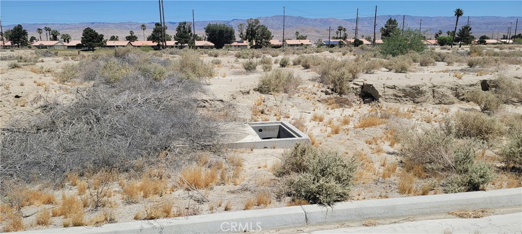 34361 Thomas Court Property Photo 2
