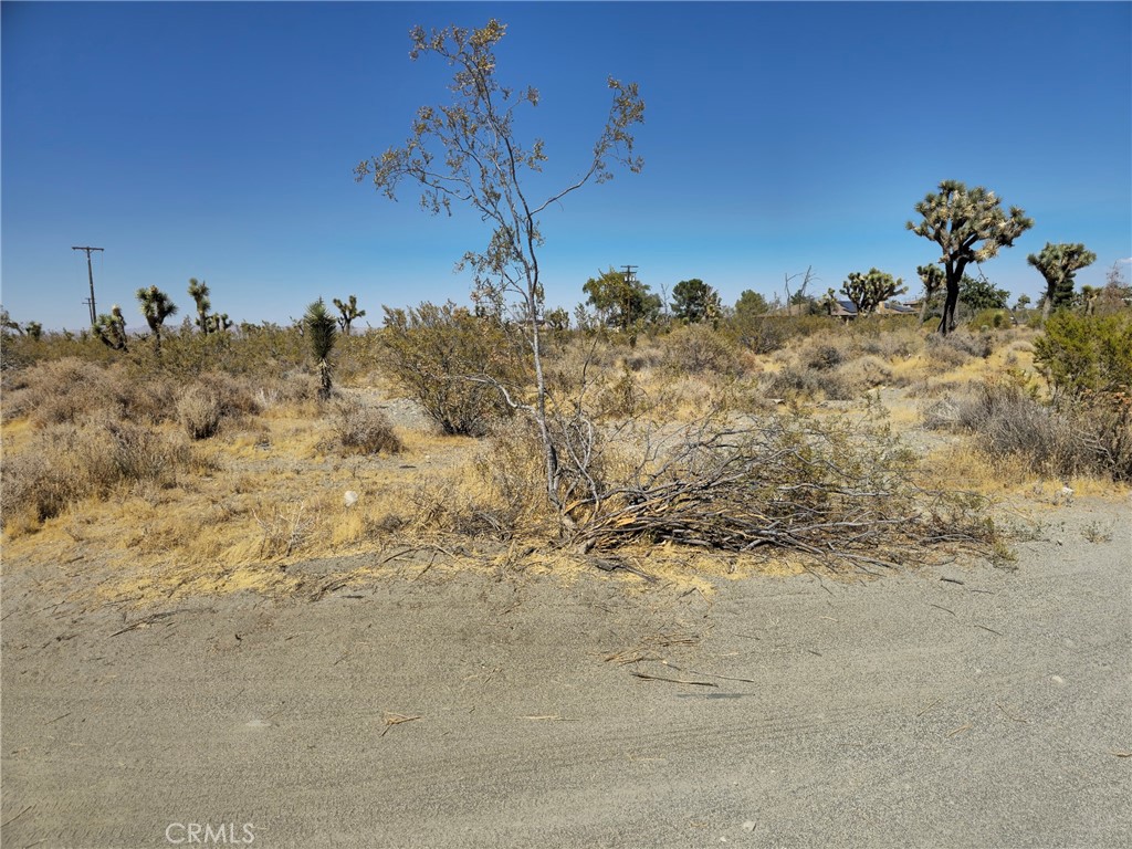 0 Marco Road Property Photo 2