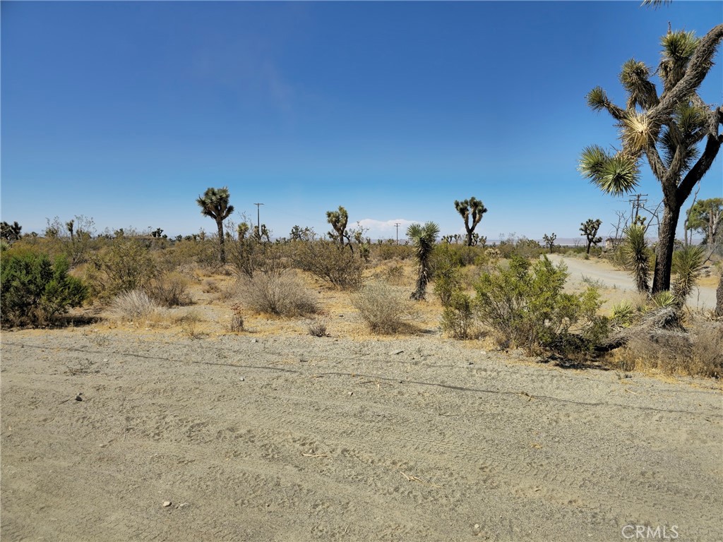 0 Marco Road Property Photo 3