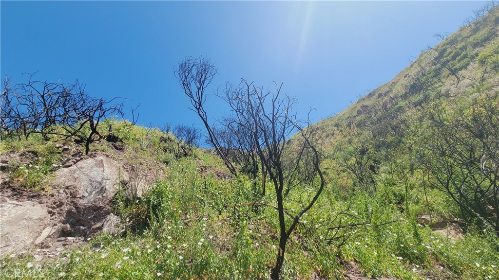 0 Piuma Road Property Photo 3