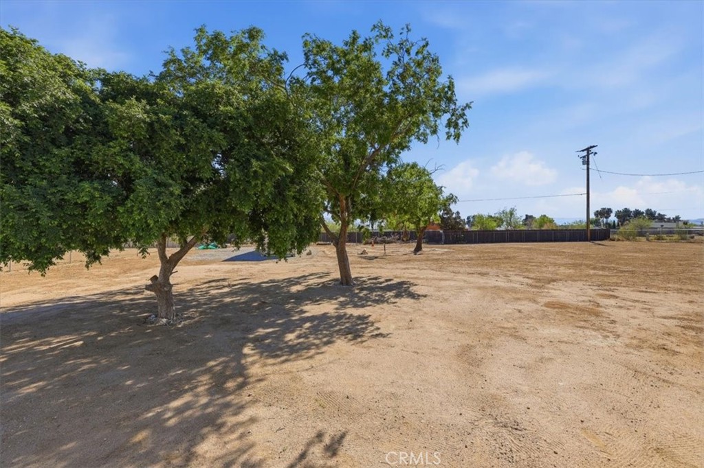 11363 Maple Property Photo 35