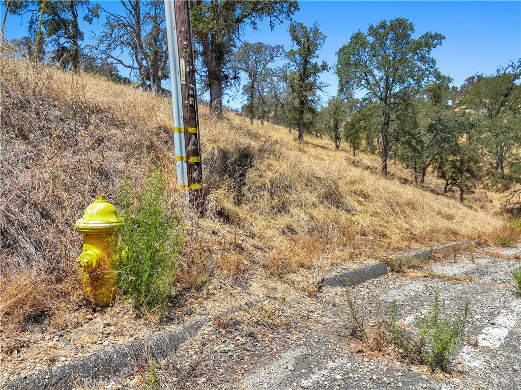 4680 Dunn Property Photo 5