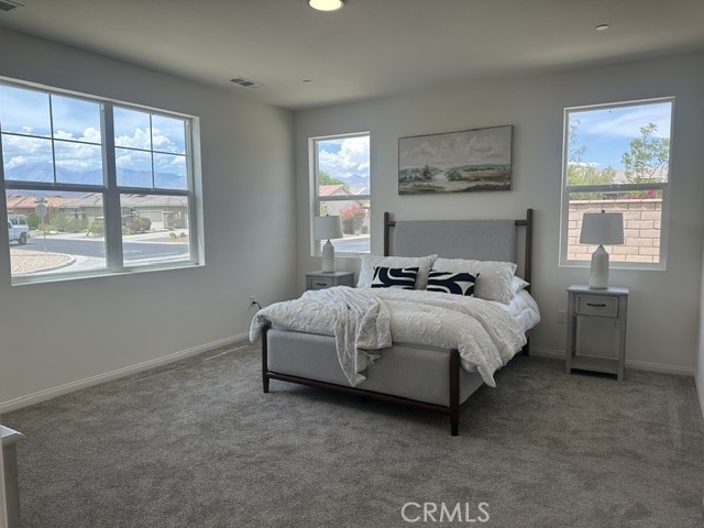 11700 Mountain Hawk Lane Property Photo 8