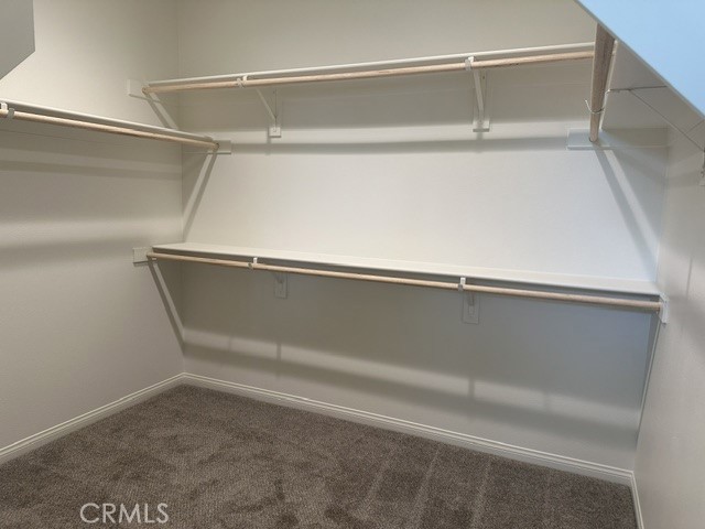 11700 Mountain Hawk Lane Property Photo 15