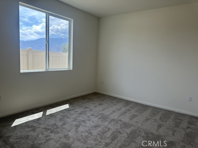 11700 Mountain Hawk Lane Property Photo 18