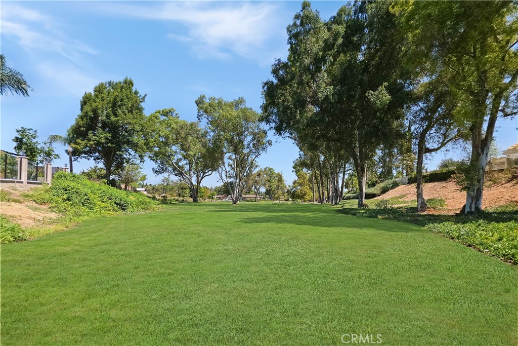 15597 Rolling Ridge Property Photo 35