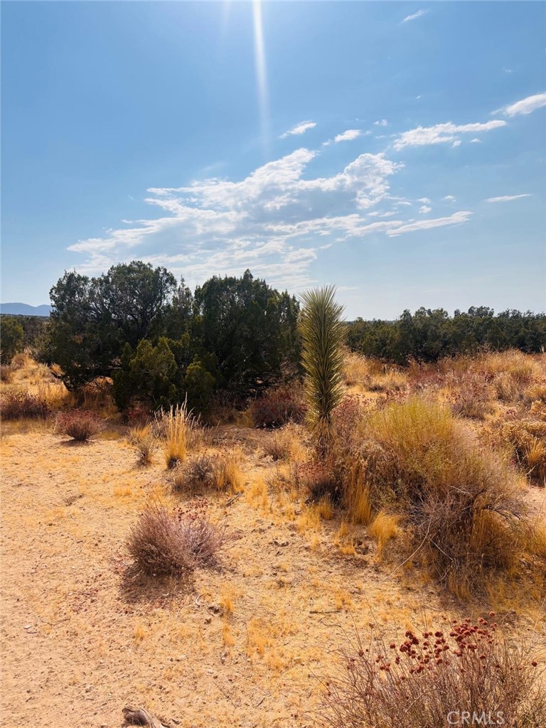 0 Vac/vic Property Photo 1