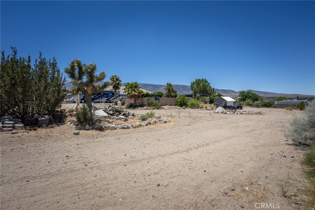 1220 Smoke Tree Property Photo 36