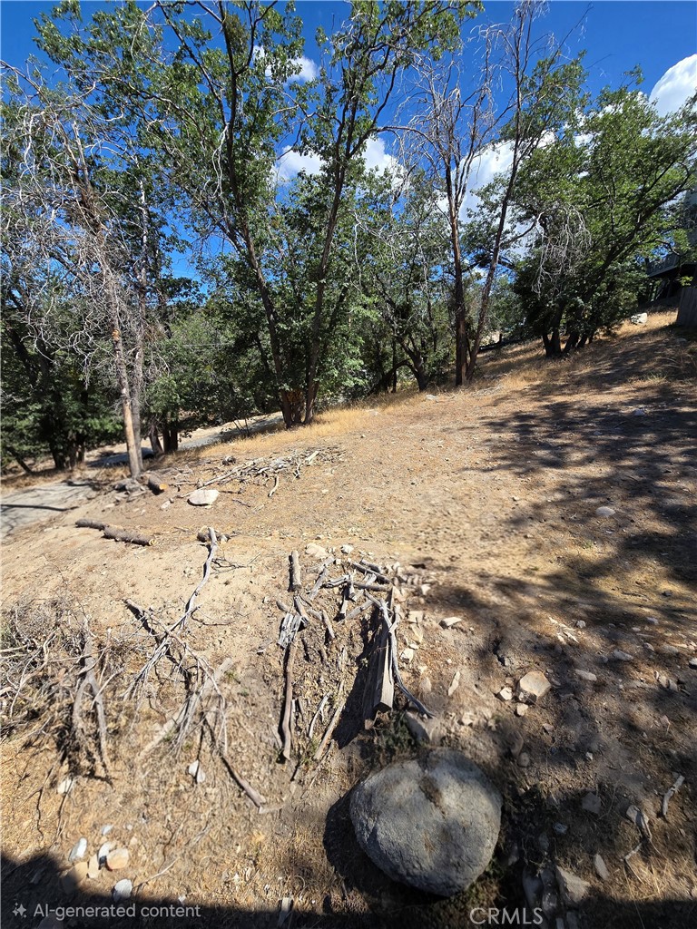 33460 Lakeview Property Photo 3