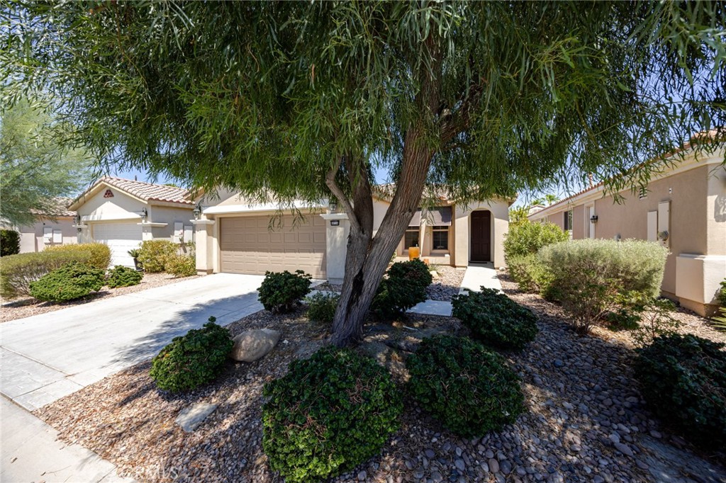 80554 Avenida Camarillo Property Photo 3