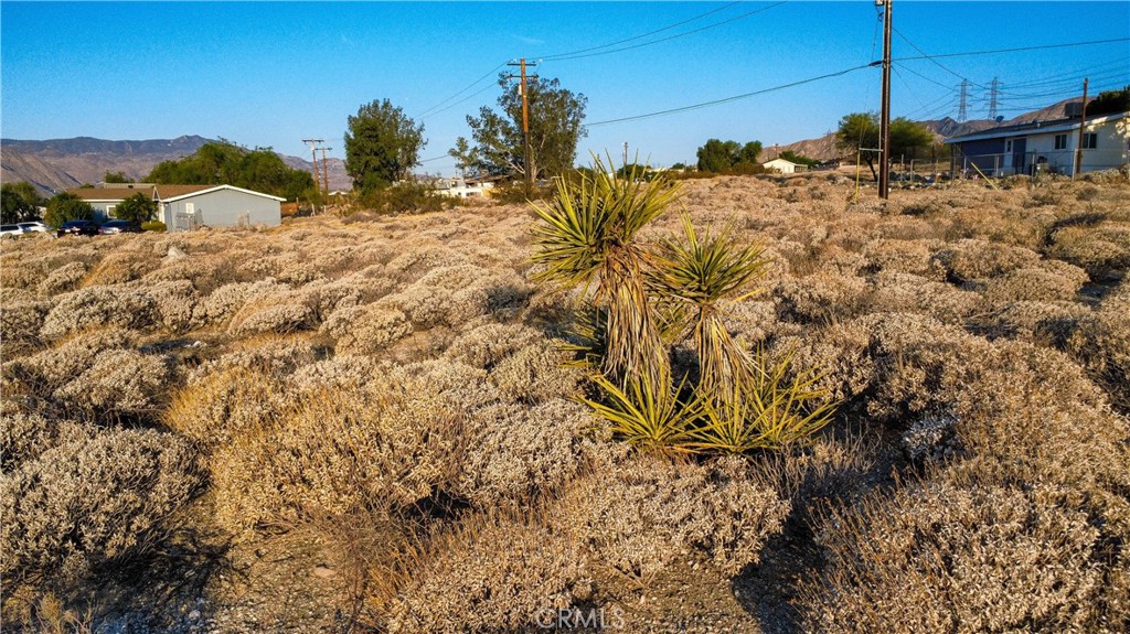 1 Kimdale Drive Property Photo 29