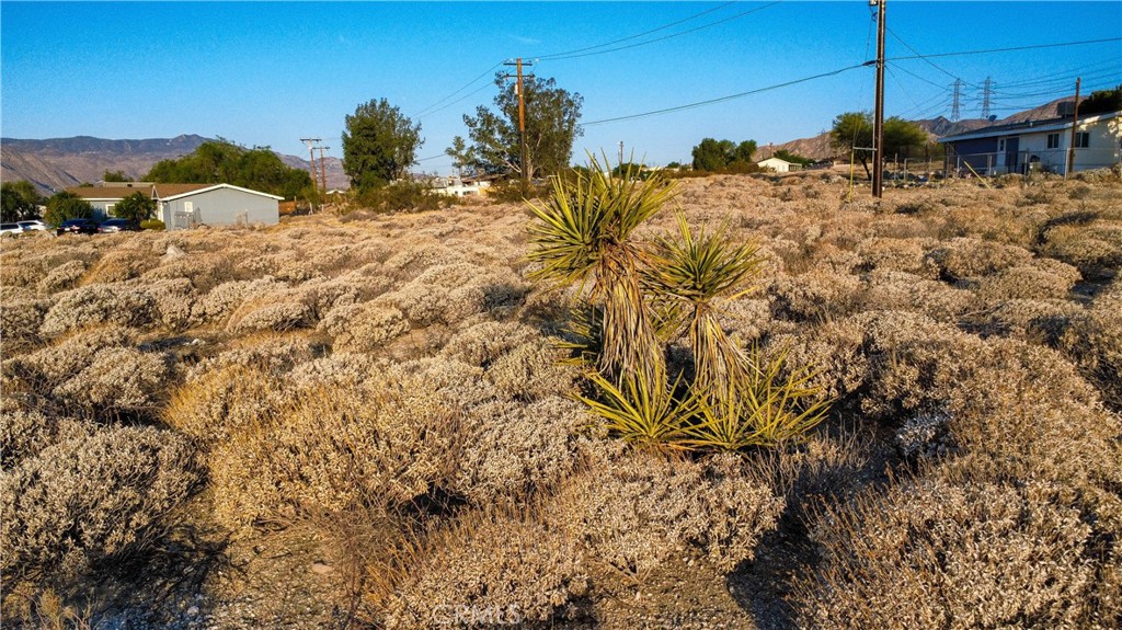 1 Kimdale Drive Property Photo 29
